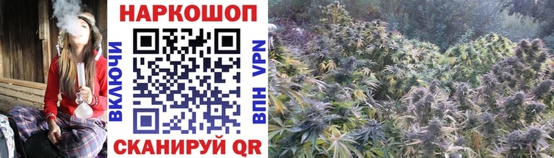 Где купить Лангепас ГЕРОИН A-PVP Гашиш кракен зеркало Марихуана COCAIN