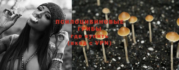 СК Семикаракорск