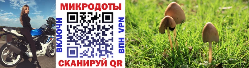 Галлюциногенные грибы Magic Shrooms  Лангепас 
